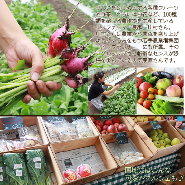 さくらんぼ 送料無料 【青森県産 さくらんぼ サミット バラ詰め800g L