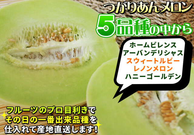 青森県産【つがりあん メロン 5～6玉 約8Kg前後】送料無料 贈答用 青森