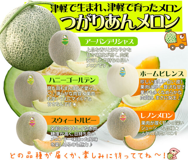 青森県産【つがりあん メロン 1玉 約1.2Kg以上】 L-2Lサイズ 送料無料