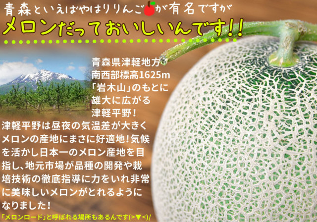 青森県産【つがりあん メロン 2玉 約2.5Kg前後】送料無料 贈答用