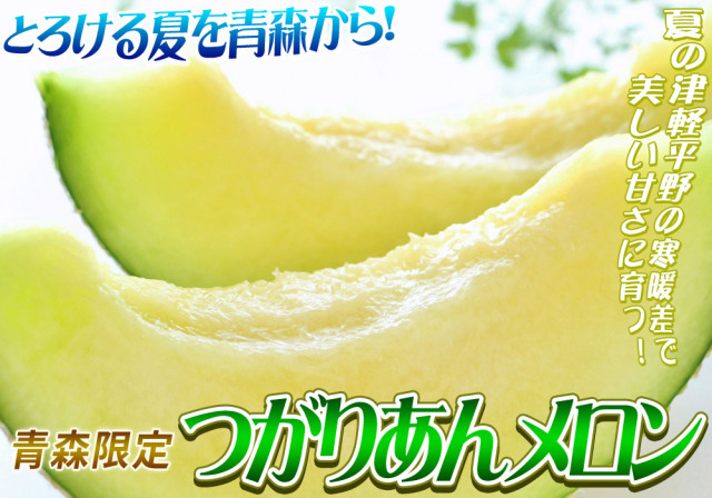 青森県産【つがりあん メロン 5～6玉 約8Kg前後】送料無料 贈答用 青森