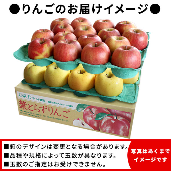 葉とらずりんご ふじ＋シナノゴールド ファーム10kg】 家庭用(13
