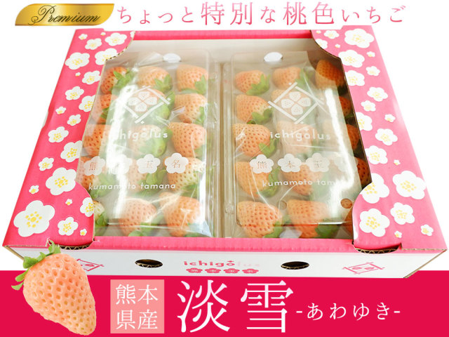 ☆ゆきいちごさま専用商品☆ プレミアム ホワイト いちご 淡雪 送料無料 【甘い白イチゴ淡雪