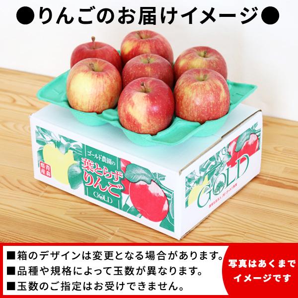 りんご の常識を変える☆葉とらず栽培 本場青森ゴールド農園 送料無料