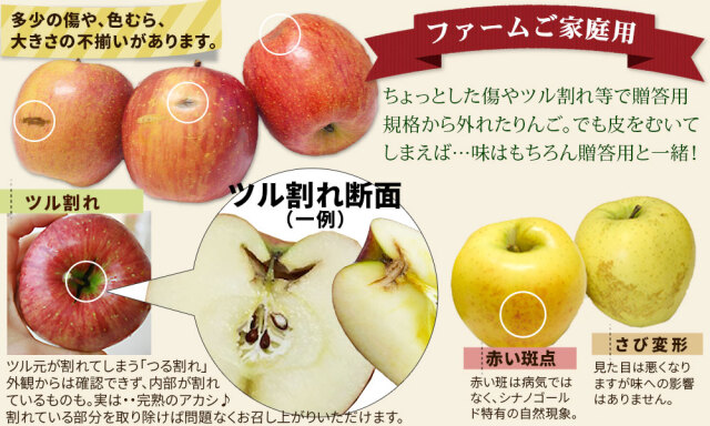葉っぱの影は甘さのサイン 【葉とらずりんご シナノゴールド10kg  