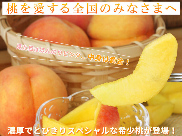 本場の 黄桃 贈答用 秀品 送料無料【福島県産 黄桃 3kg前後】（9-13玉