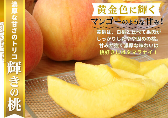 本場の 黄桃 贈答用 秀品 送料無料【福島県産 黄桃 3kg前後】（9-13玉  