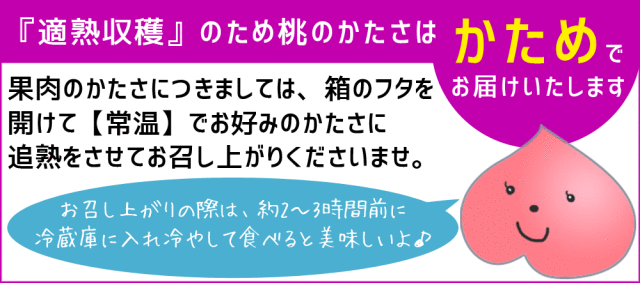 本場の 黄桃 贈答用 秀品 送料無料【福島県産 黄桃 3kg前後】（9