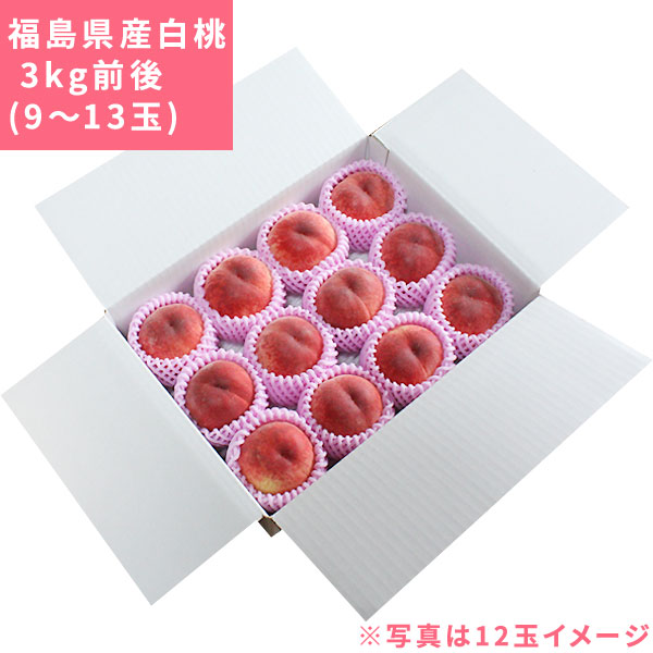 本場の 白桃 贈答用 秀品 送料無料 秀品 お徳用【福島県産 白桃 3kg