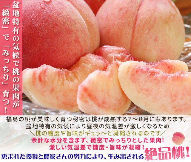 本場の 白桃 贈答用 秀品 送料無料 【福島県産 白桃 1.5kg前後】（5～7