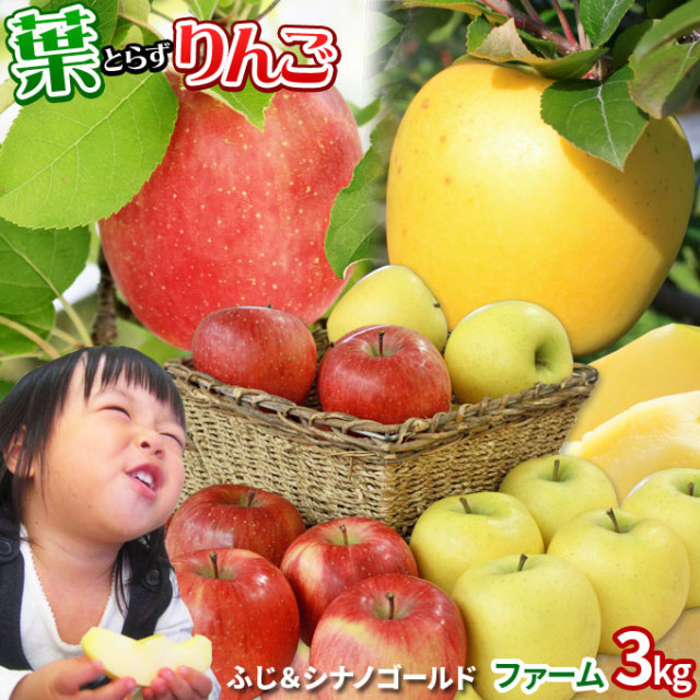 葉っぱの影は甘さのサイン 【葉とらずりんご ふじ＋シナノゴールド