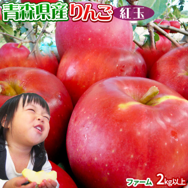 ≪送料無料≫本場青森ゴールド農園 【青森県産りんご 紅玉 ファーム2g