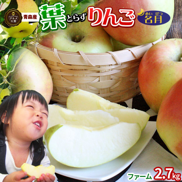 りんご の常識を変える☆葉とらず栽培 本場青森ゴールド農園 送料無料