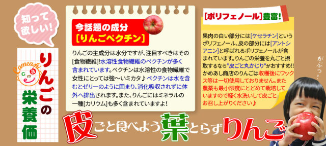 りんご の常識を変える☆葉とらず栽培 本場青森ゴールド農園 送料無料