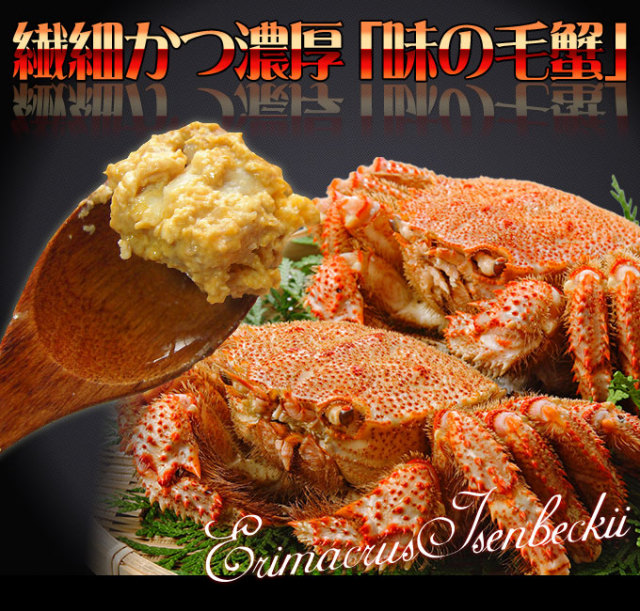 ≪送料無料≫【北海道産 ボイル毛蟹 500g×2尾】濃厚なカニ味噌が