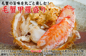 北海道産★ボイル冷凍毛蟹(約500g)★蟹味噌タップリ★毛ガニ・蟹の甲羅焼き 北海道産毛蟹500g｜ホクホク繊細なカニ身とカニ味噌｜ギフトにも
