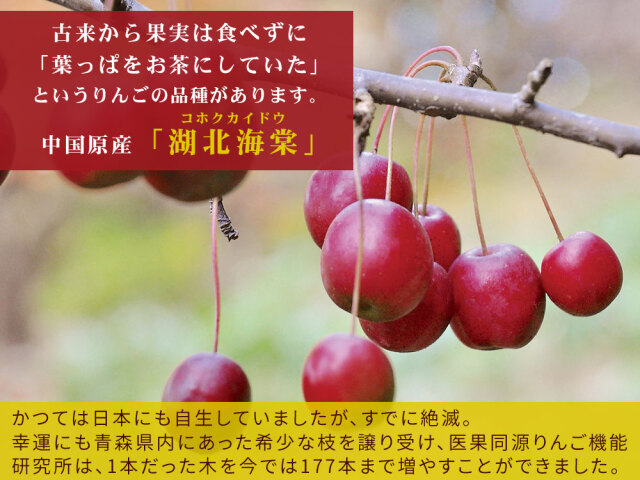 医果同源 有機JAS認証農園【りんご葉の茶 5袋入】(1.2g×5袋) ノン