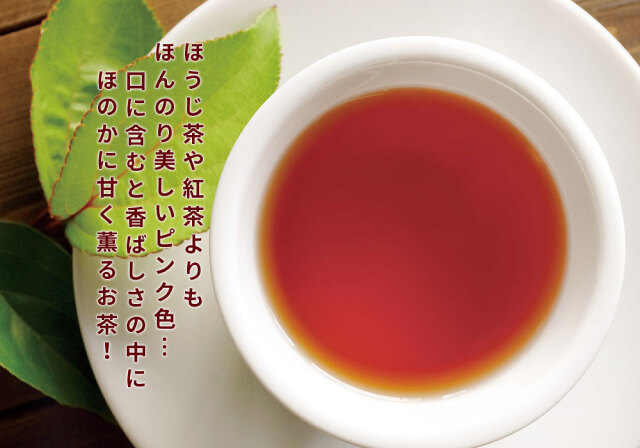 医果同源 有機JAS認証農園【りんご葉の茶 5袋入】(1.2g×5袋) ノン