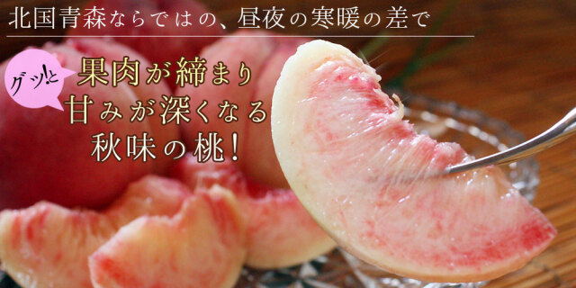青森県産 送料無料 桃【青森県産白桃 秀1.5kg前後】秀品 (5～8玉) 敬老
