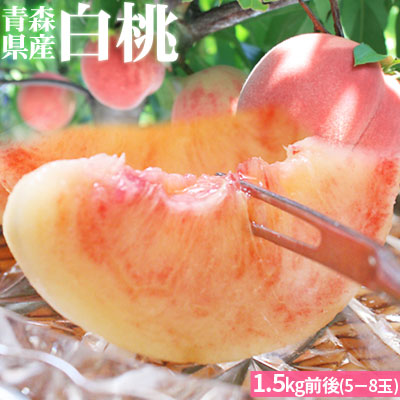 青森県産 送料無料 桃【青森県産白桃 秀1.5kg前後】秀品 (5～8玉) 敬老