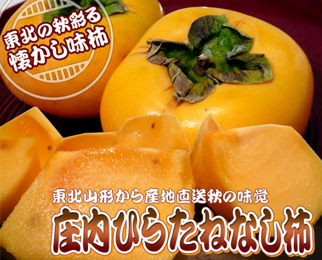 庄内柿 送料無料 種無し柿 山形県産 【庄内平たねなし柿 5kg（24～30玉