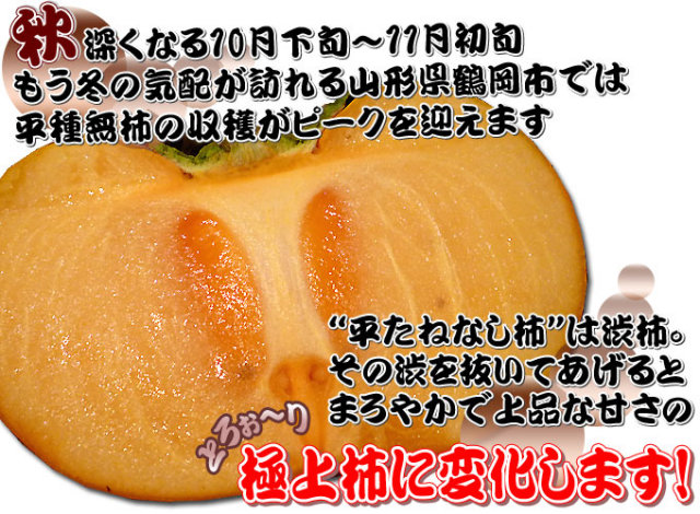 庄内柿 送料無料 種無し柿 山形県産 【庄内平たねなし柿 5kg（24～30玉