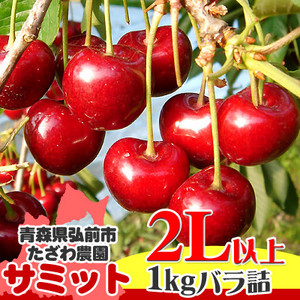 さくらんぼ 送料無料 【田澤農園 さくらんぼ サミット 1kg 2～3L