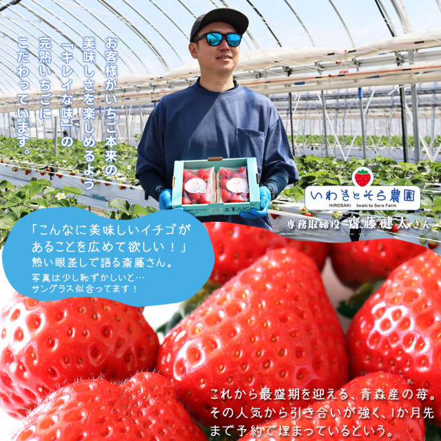 天然苺 朝採り 完熟 いちご 【青森県産いちご 立夏JUICY 240g以上×2
