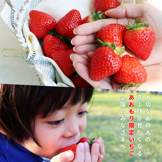 朝採り 完熟 いちご 【青森県産いちご 立夏JUICY 240g以上×2パック