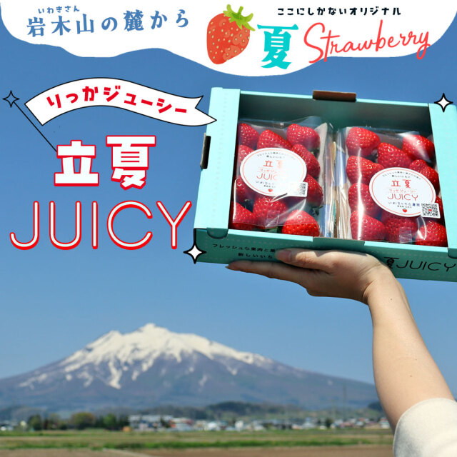 【今年も始まりました✨】青森県産　大玉夏イチゴ　4kg　いちご　訳あり　加工用 たっぷり勝占いちご2kg大特価セール : いちご農家 西岡産業