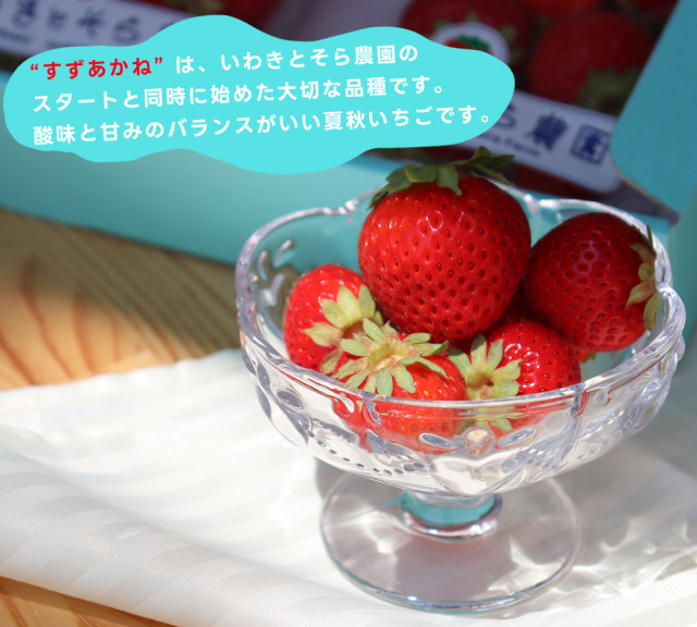 【いちごさま】ご購入品 楽天市場】【ふるさと納税】【限定数量/先行予約】【12月以降