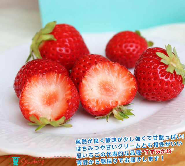 朝採り 完熟 いちご 【青森県産いちご すずあかね 180g以上×2