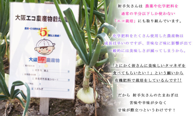 たまねぎ 名人 射手矢さんが作る絶品【泉州たまねぎ4kg（10～20玉