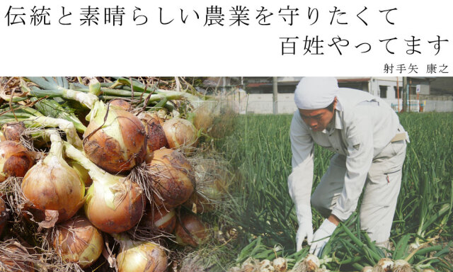たまねぎ 名人 射手矢さんが作る絶品【泉州たまねぎ4kg（10～20玉