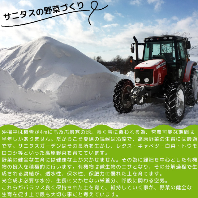 雪室 ジャガイモ青森県産 雪室じゃがいも 2.1kg前後】3種詰め合わせ