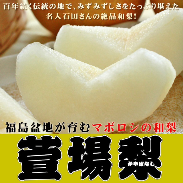 湧き出る甘い果汁 幻の 和梨 【新高 ジャンボ萱場梨 贈答用3kg前後 5-8