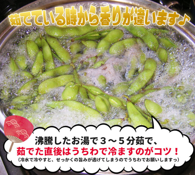 青森 毛豆 減農薬 販売【いたや毛豆250g×10P】送料無料