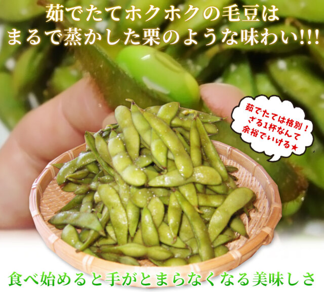 青森 毛豆 減農薬 販売【いたや毛豆250g×10P】送料無料