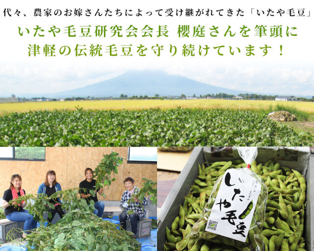 青森 毛豆 減農薬 販売【いたや毛豆250g×10P】送料無料
