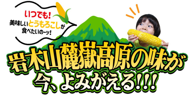 嶽きみ 真空パック Mサイズ】 1本 青森県が誇るブランド とうもろこし