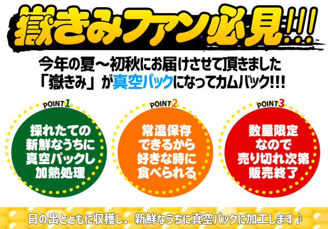 嶽きみ 真空パック Mサイズ】 1本 青森県が誇るブランド とうもろこし