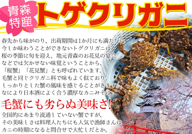 活 トゲクリガニ カニ 送料無料 青森陸奥湾 【トゲクリガニ 1kg前後 4