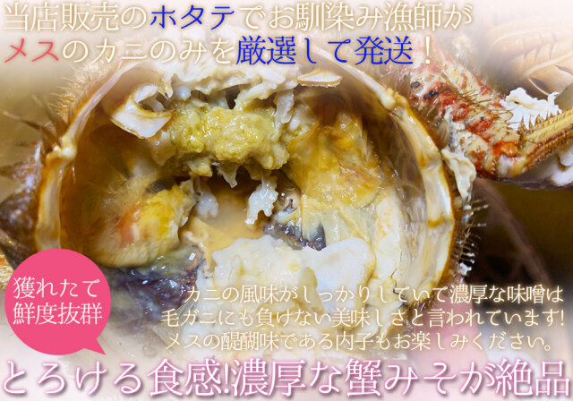 活 トゲクリガニ カニ 送料無料 青森陸奥湾 【トゲクリガニ 1kg前後 4