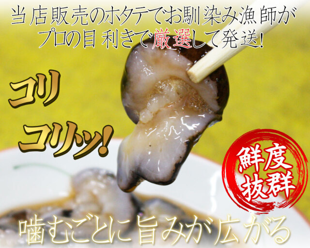 青森県陸奥湾産 なまこ 送料無料 【活なまこ500g前後】有名な陸奥湾に