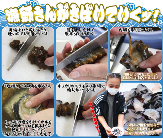 青森県陸奥湾産 なまこ 送料無料 【活なまこ500g前後】有名な陸奥湾に