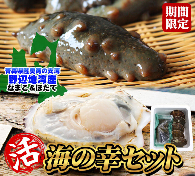 青森県陸奥湾産 ナマコ と ホタテ の豪華セット 送料無料 【活なまこ