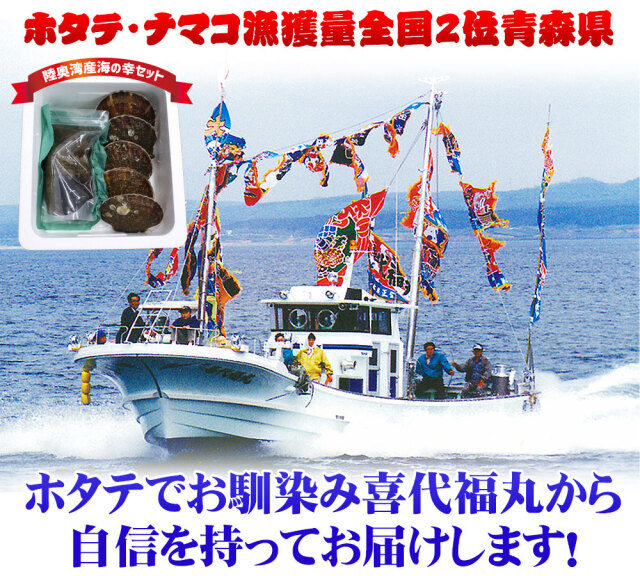 青森県陸奥湾産 ナマコ と ホタテ の豪華セット 送料無料 【活なまこ