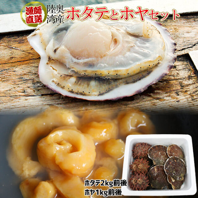 活ほたて＋天然ホヤの贅沢セット 送料無料 青森陸奥湾 【ホタテ 1kg