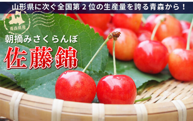 北海道から産地直送 JA新おたる 仁木町のさくらんぼ（紅秀峰
