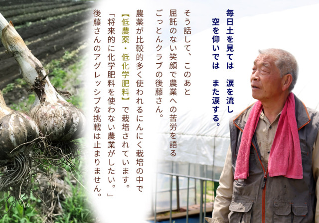 訳あり　青森県バラにんにく20Kg 芽あり 青森県産 訳あり バラ詰めにんにく 3kg（1.5kg×2）】